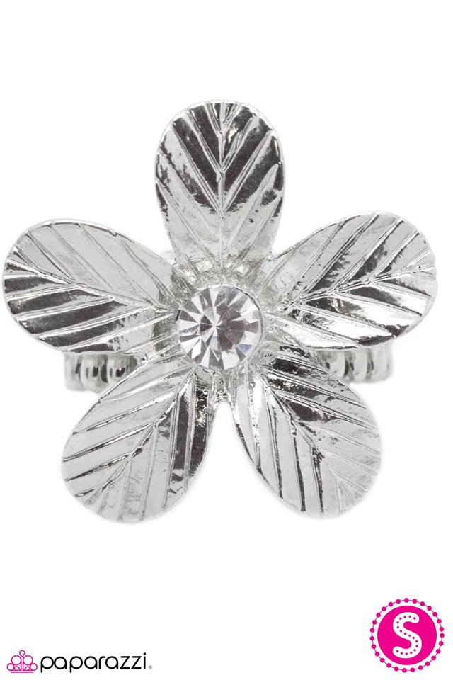 Paparazzi ♥ I Am aA Island - Silver ♥ Ring