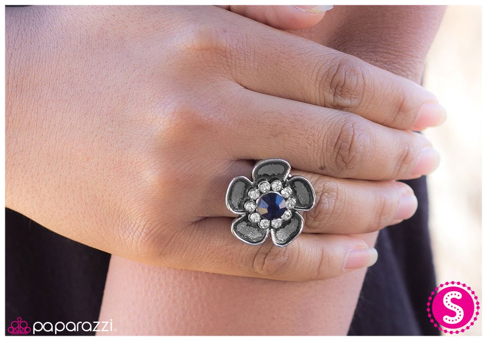 at-the-risk-of-looking-fabulous-blue-p4wh-blxx-004xx