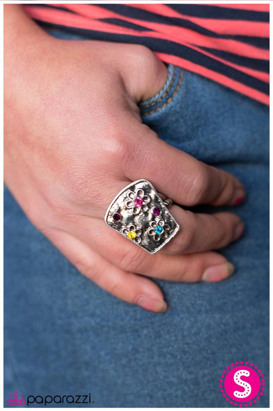 late-bloomer-p4wh-ywxx-002xx