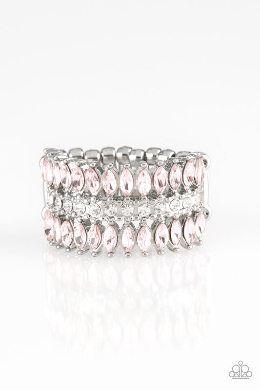 treasury-fund-pink-p4re-pkxx-141xx