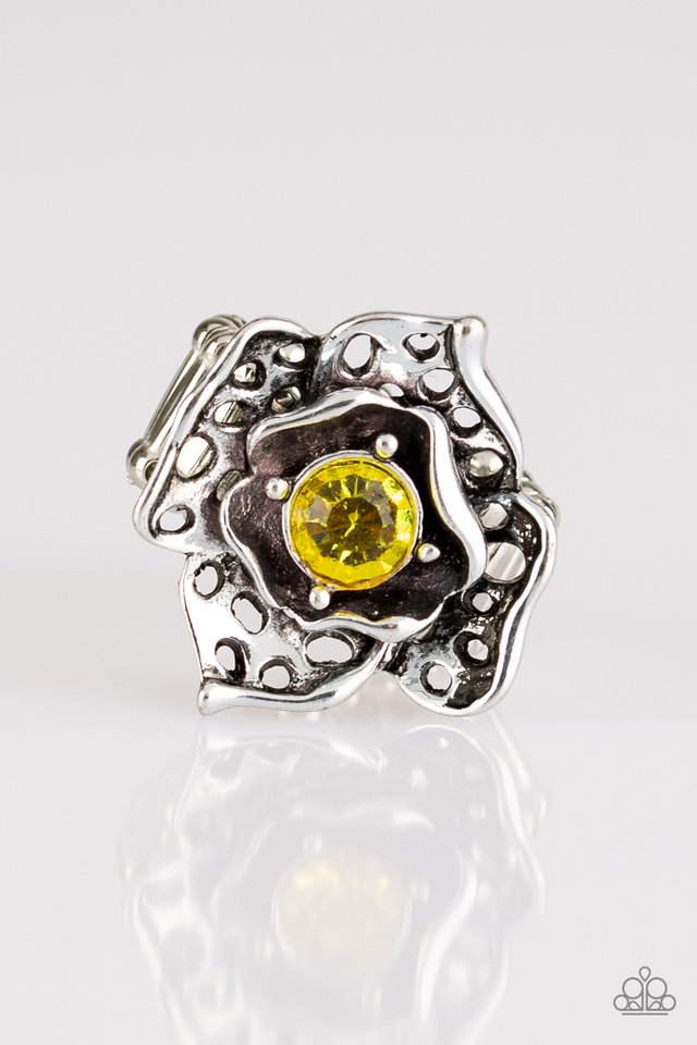 glowing-gardens-yellow-p4re-ywxx-032xx