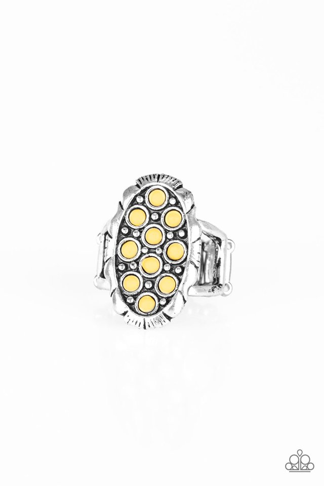 cactus-garden-yellow-p4se-ywxx-058xx