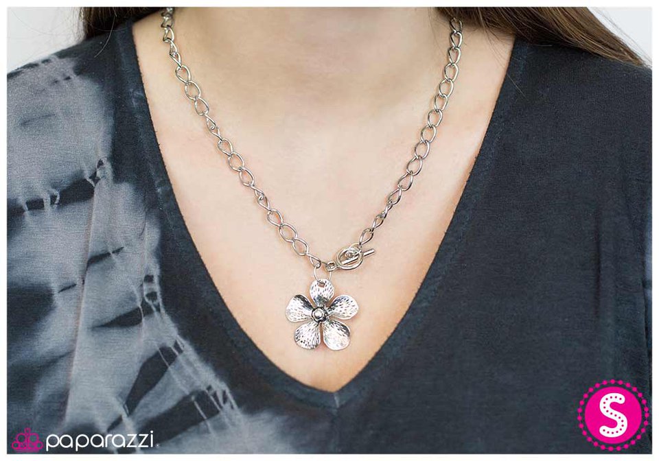 going-solo-p2wh-svxx-018xx