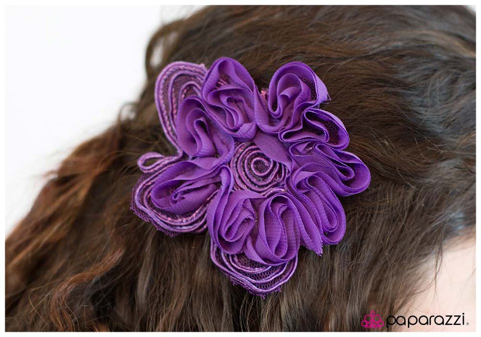 laying-low-purple-p7ca-prxx-003xx