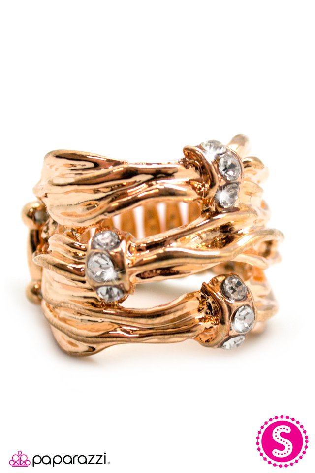 Paparazzi ♥ A Shining Example - Gold ♥ Ring