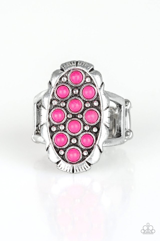 cactus-garden-pink-p4se-pkxx-059xx