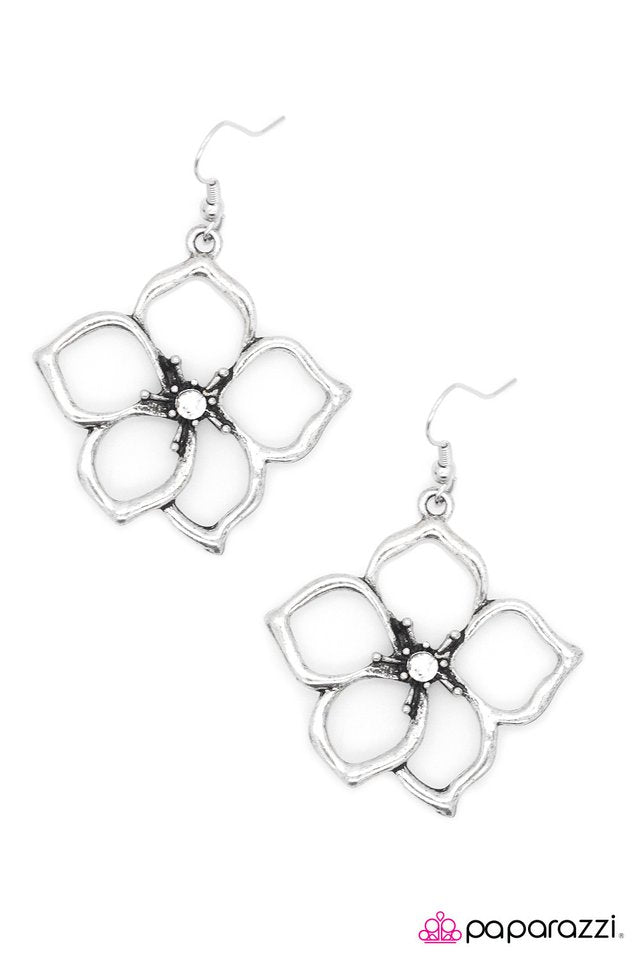Paparazzi ♥ What is the Story, Morning Glory? - Silver ♥ Earrings