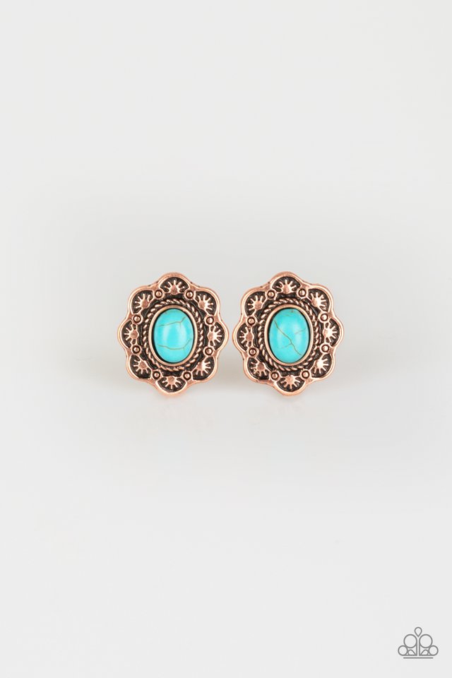 springtime-deserts-copper-p5po-cpbl-013xx