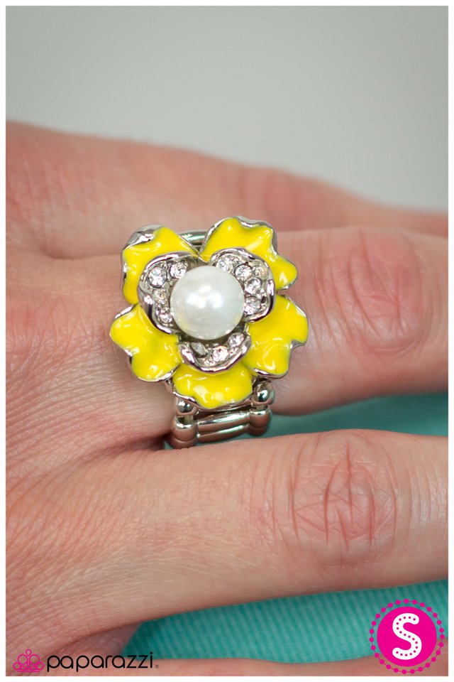 frilled-to-pieces-yellow-p4wh-ywxx-006xx