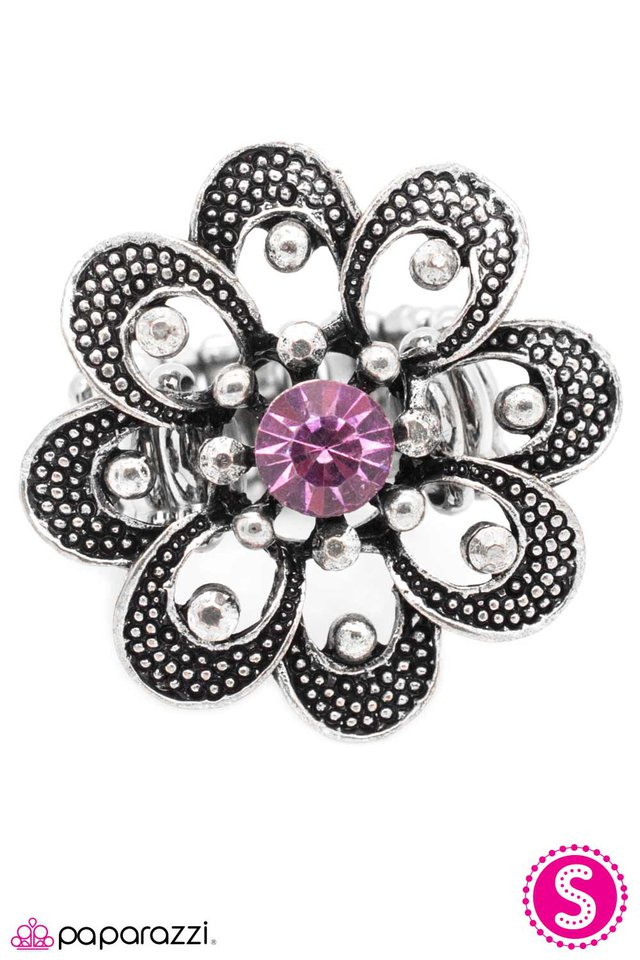 Paparazzi ♥ Growing Admiration - Purple ♥ Ring