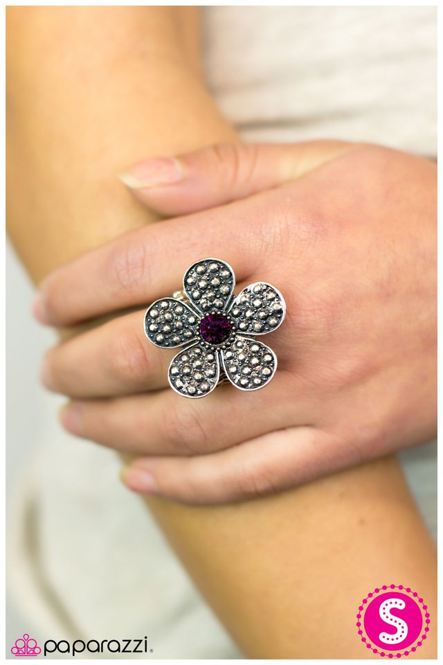 haute-and-heated-purple-p4wh-prxx-017xx