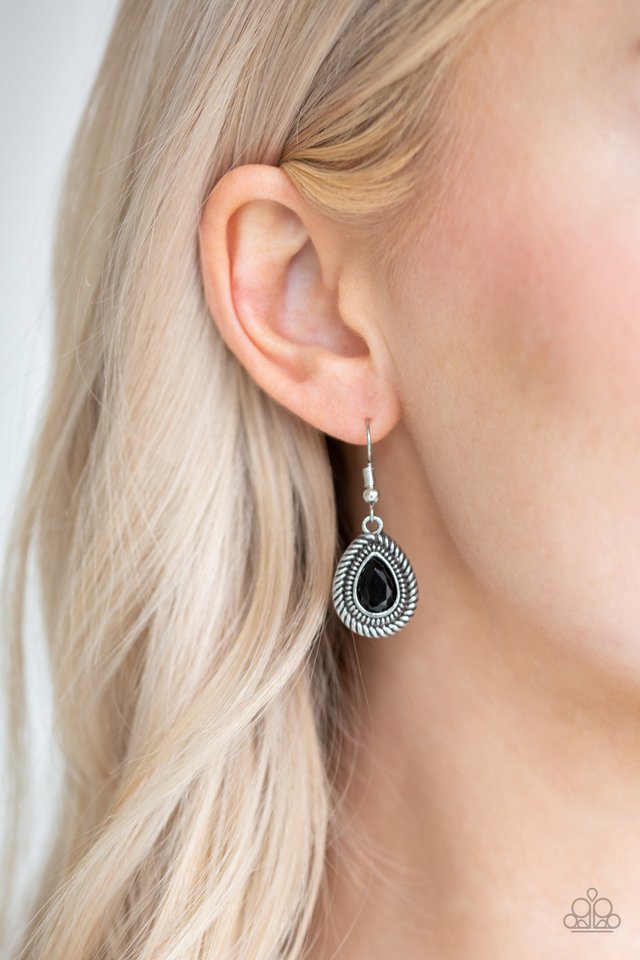 Paparazzi ♥ Sheen Queen - Black ♥ Necklace