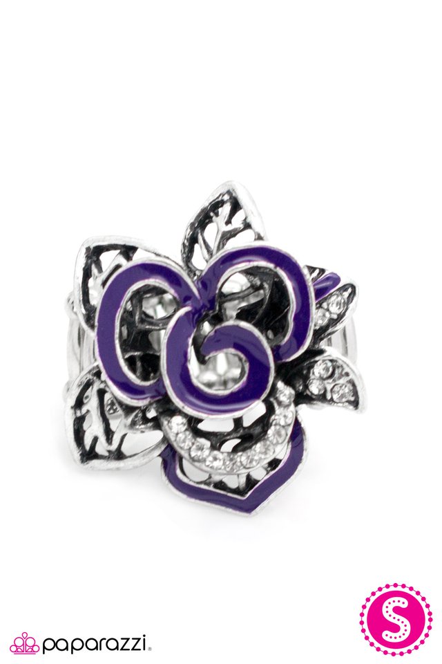 Paparazzi ♥ A Little Loopy - Purple ♥ Ring