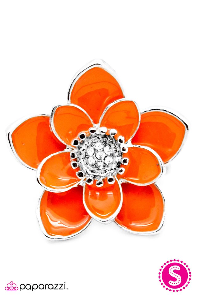 Paparazzi ♥ Hey, Bud! - Orange ♥ Ring
