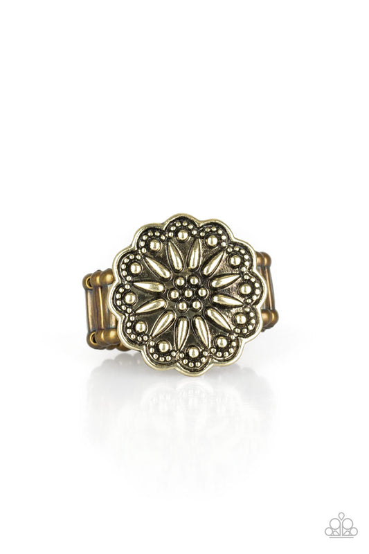 desert-sunflower-brass-p4wh-brxx-072xx