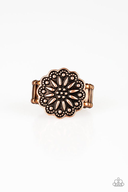 desert-sunflower-copper-p4wh-cpxx-094xx