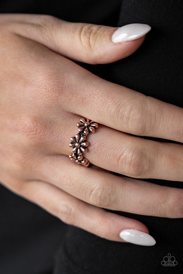 Paparazzi ♥ Daisy Dapper - Copper ♥ Ring