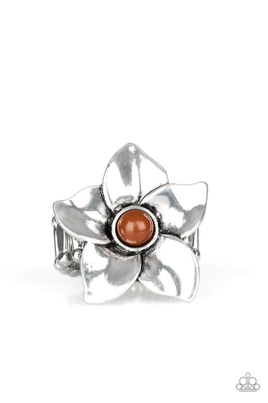 ask-for-flowers-brown-p4wh-bnxx-111xx