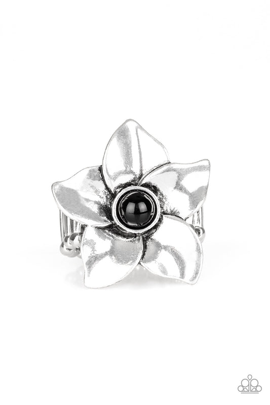 ask-for-flowers-black-p4wh-bkxx-081xx