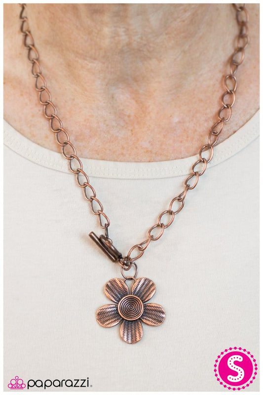 stemming-from-simplicity-p2wh-cpxx-006xx