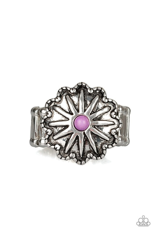 stone-sensei-purple-p4se-prxx-050xx