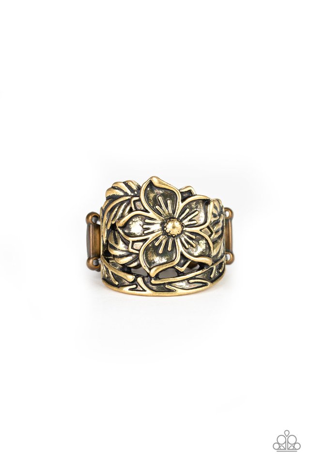 hibiscus-highland-brass-p4wh-brxx-084xx