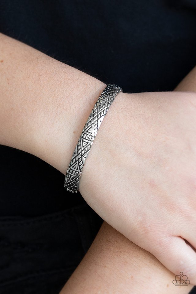 Paparazzi ♥ Power Pack - Silver ♥ Bracelet