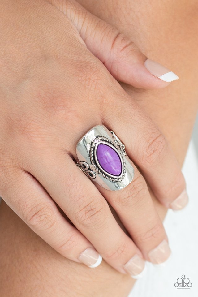 Paparazzi ♥ PLAIN Ride - Purple ♥ Ring