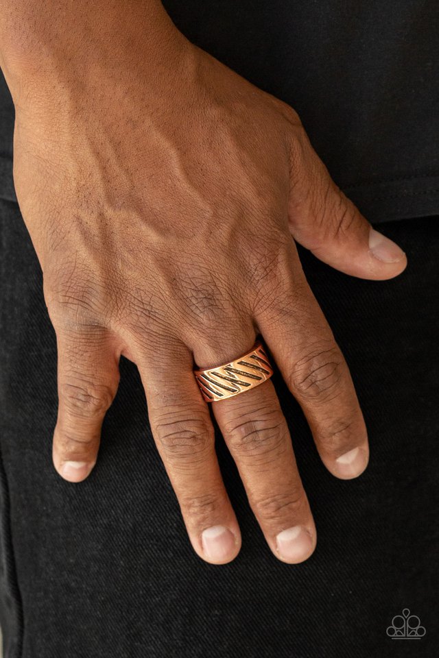 Paparazzi ♥ The Cavalier - Copper ♥ Ring