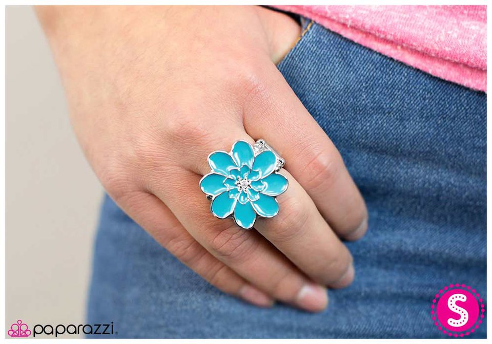 spring-fling-blue-p4wh-blxx-015xx