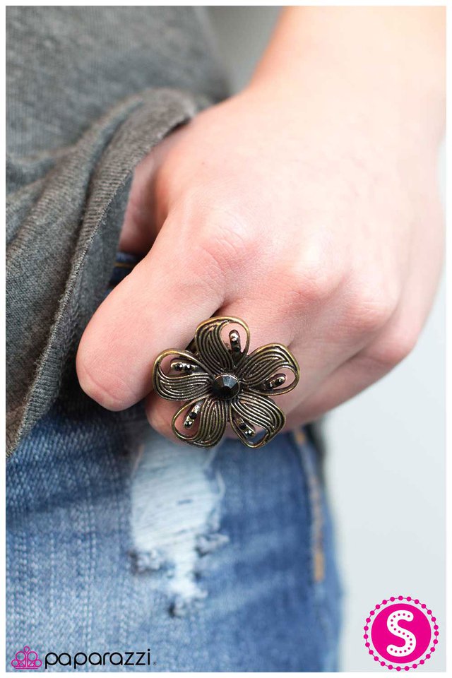 epiphany-p4wh-brxx-008xx