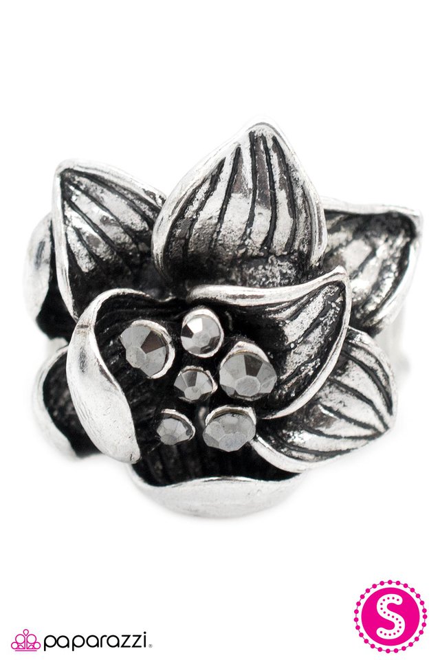 Paparazzi ♥ Pitch Perfect - Silver ♥ Ring