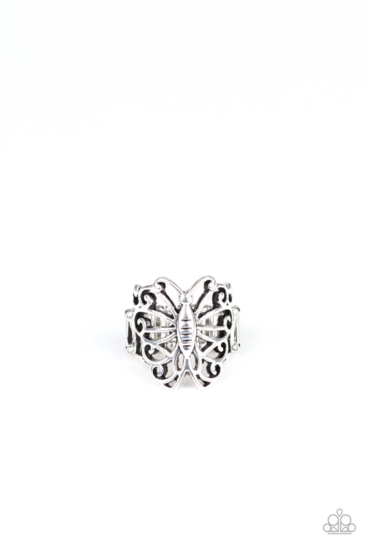 wouldnt-hurt-a-butterfly-silver-p4wh-svxx-147xx
