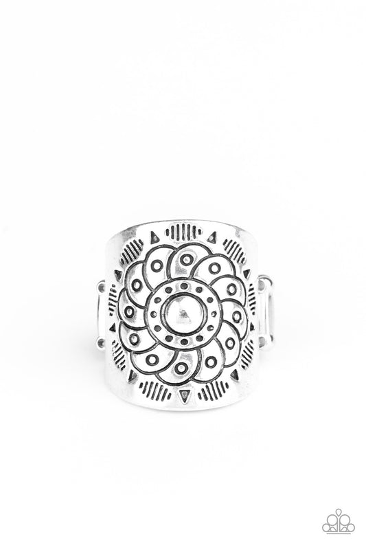 dig-it-silver-p4se-svxx-065xx