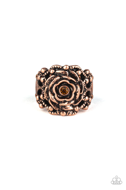 rose-garden-royal-copper-p4wh-cpxx-126xx