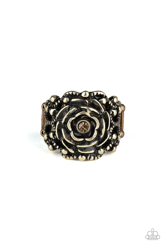 rose-garden-royal-brass-p4wh-brxx-092xx