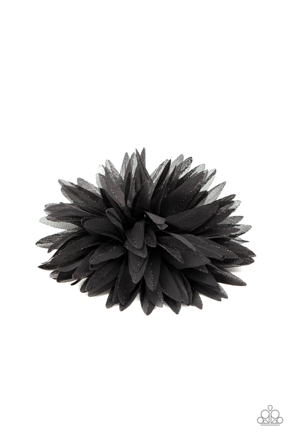 bloom-baby-bloom-black-p7ss-bkxx-081xx