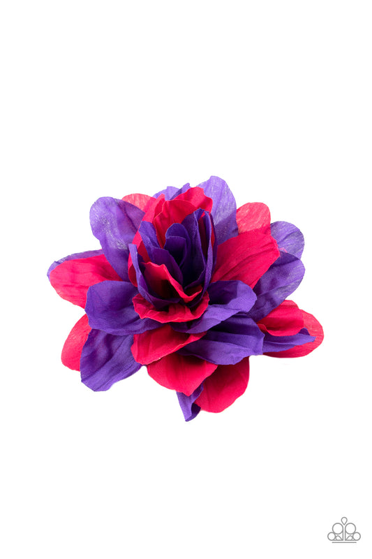 rainbow-gardens-purple-p7ss-prxx-091xx