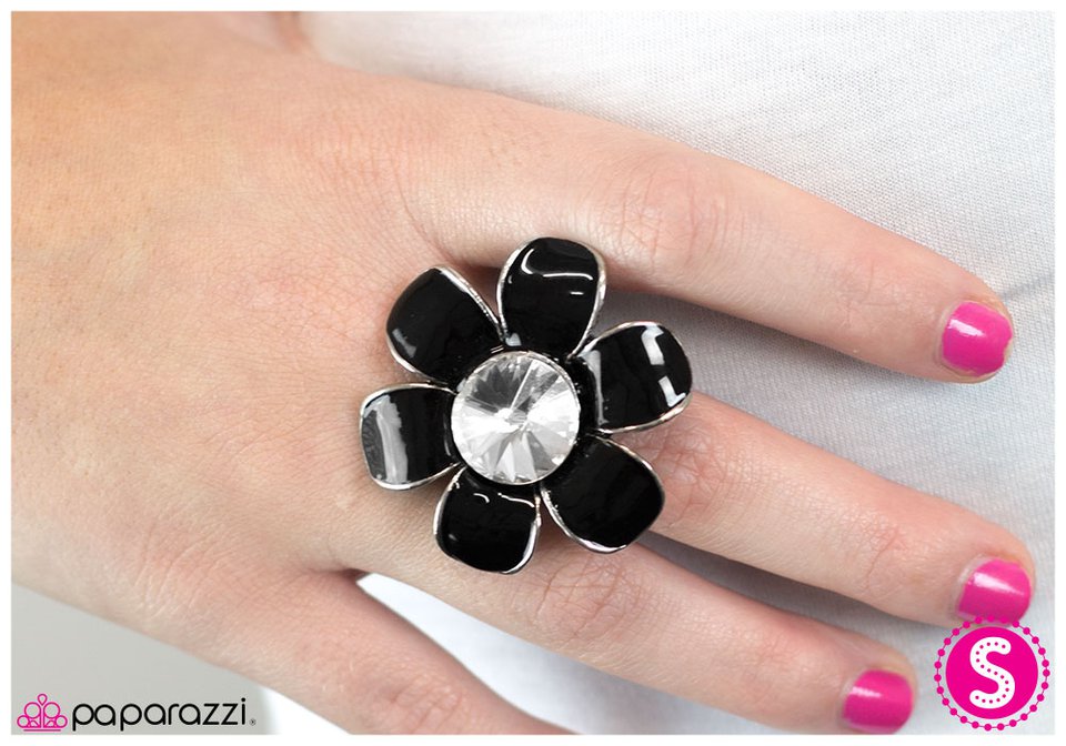 may-flower-p4wh-bkxx-022xx