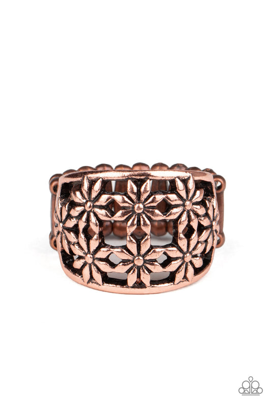 crazy-about-daisies-copper-p4wh-cpsh-119xx