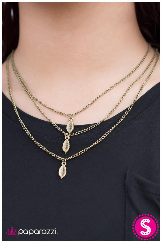 jaded-brass-p2da-brxx-030xx