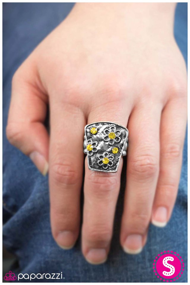 late-bloomer-yellow-p4wh-ywxx-032xx