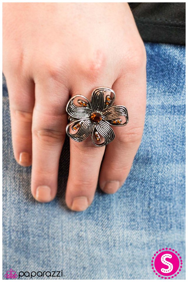 epiphany-brown-p4wh-bnxx-028xx