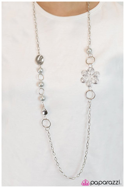 not-so-ordinary-silver-p2wh-svxx-037xx