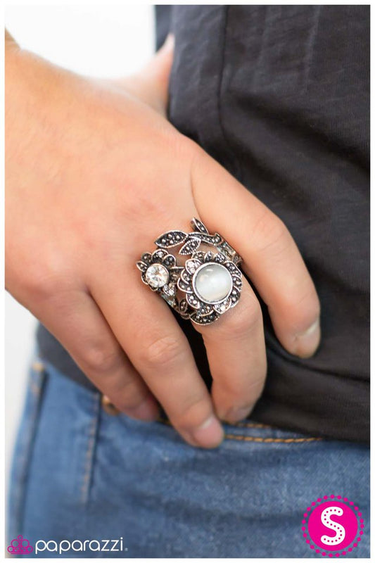 midsummers-dream-p4wh-wtsv-024xx