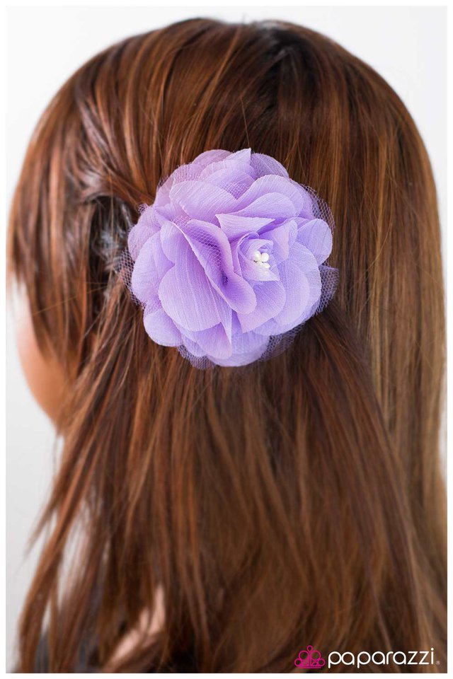 tiger-lily-purple-p7pr-prxx-021xx