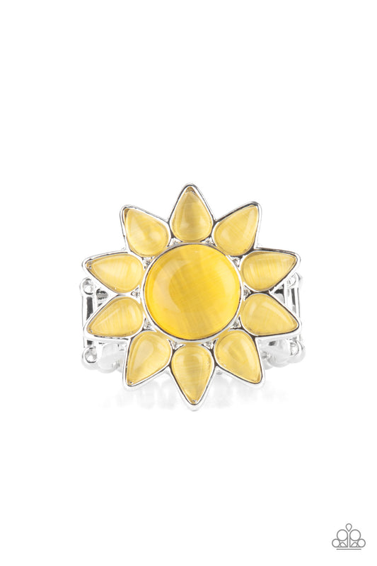 blossoming-sunbeams-yellow-p4st-ywxx-002xx