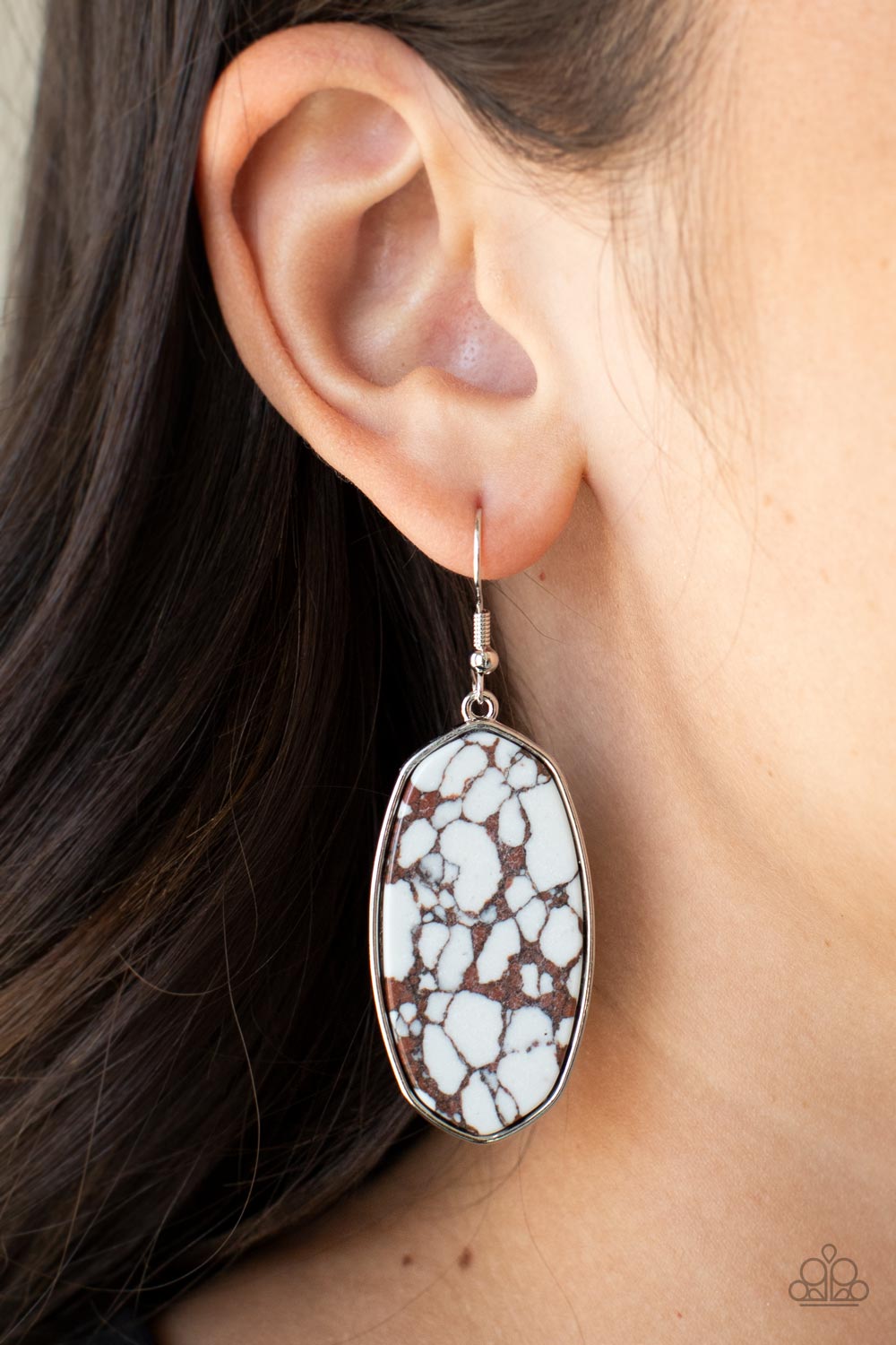 Paparazzi ♥ Stone Sculptures - Brown ♥  Earrings