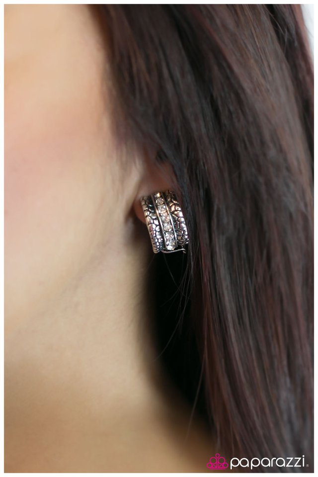 cant-be-tamed-p5co-svwt-008xx