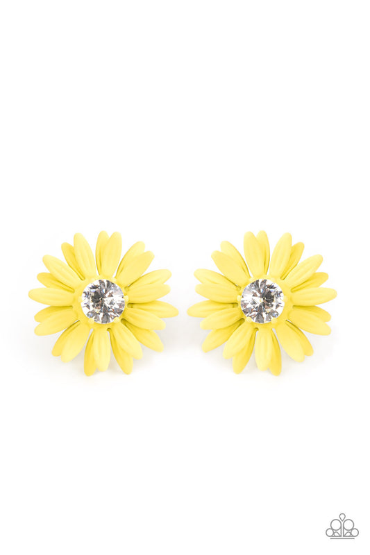 sunshiny-dais-y-yellow-p5po-ywxx-031xx